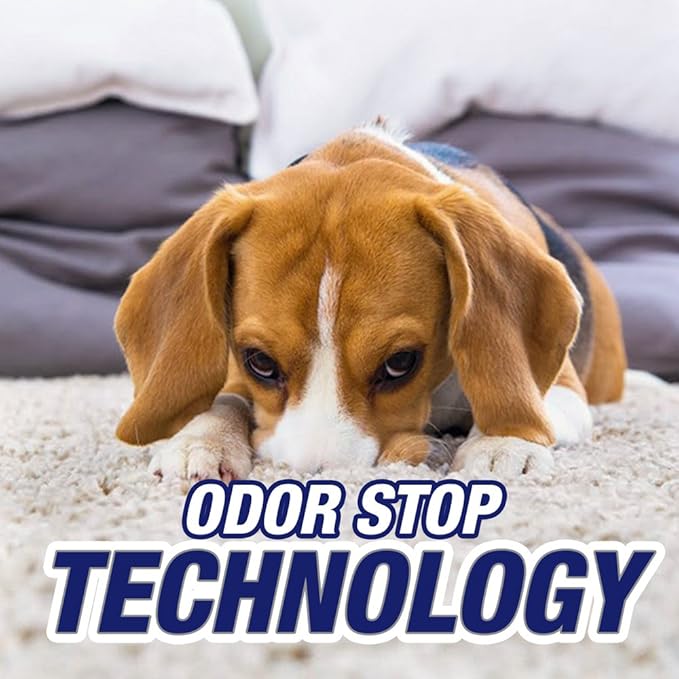 Resolve Pet Expert Stain and Odor Remover, Carpet Cleaner, Pet Stain and Odor Remover, Carpet & Upholstery Cleaner - Removes Stains and Odors, 22 oz (pack of 6)