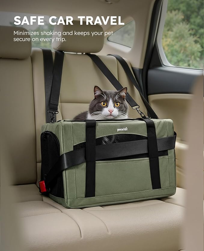 Pecute Cat Carrier Stable, Pet Carrier with Hidden Anxiety Relief Partition & Stable Steel Frame, Safe Cat Carrier for Car Travel, Soft-Sided Dog/Cat Carrier Bag for Pets Up to 11lbs, Green