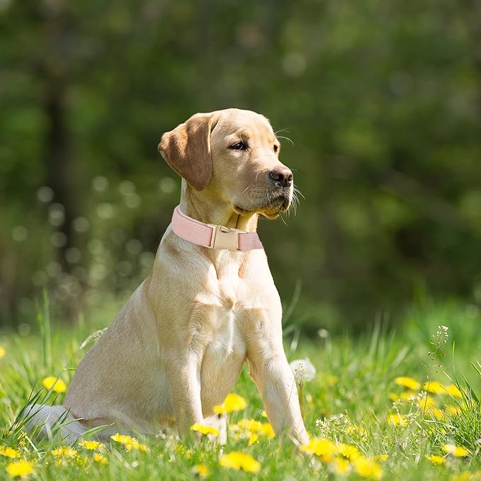 Soft Cotton Dog Collar with Metal Buckle Adjustable Heavy Duty Comfy Corduroy Collars for Small Medium Large Dogs,Light Pink,Small