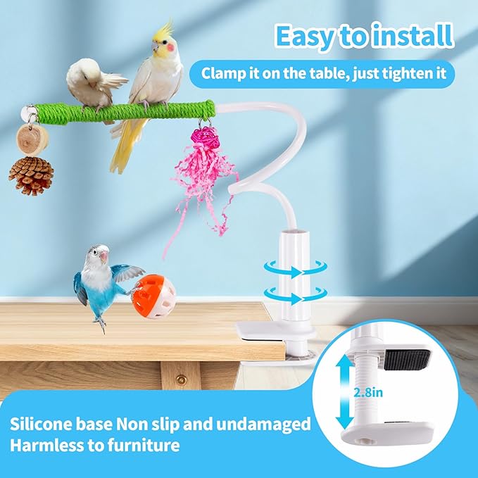 Bird Perch Stand with Swing, Desktop Bird Toy & Stand for Interacting, Interactive Playground for Sun Conure, Lovebirds, Conure, Budgie, Cockatiel - Non-Slip Adjustable Perch