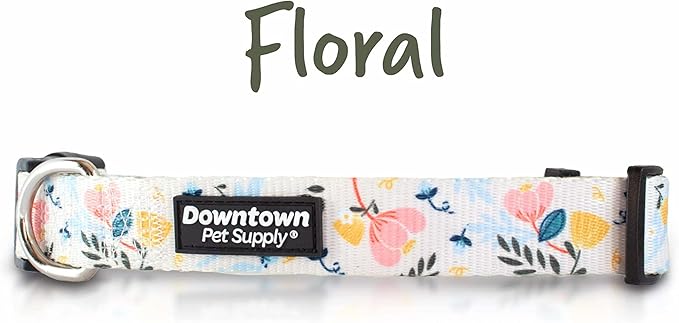 Downtown Pet Supply - Best & Fancy Dog Collar - Lightweight Adjustable with Quick Buckle & D-Ring - Hand Wash Safe - Floral - Medium
