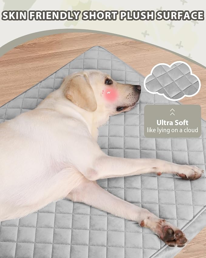 Jumbo Dog Bed for Extra Large Sized Dog Orthopedic Pet Bed with Removable Washable Cover and Non-Slip Bottom, 53x36 Inch, Light Gray