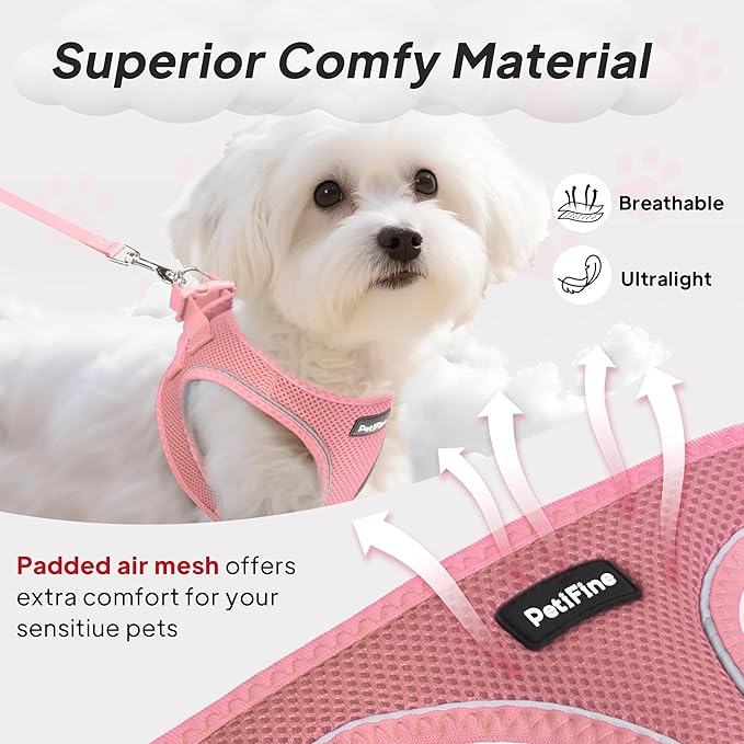 PetiFine Step in Small Dog Harness and Leash Set, Breathable All Weather Air Mesh Reflective Escape Proof, Step-in Vest Harnesses for Puppy(XS, Pink)