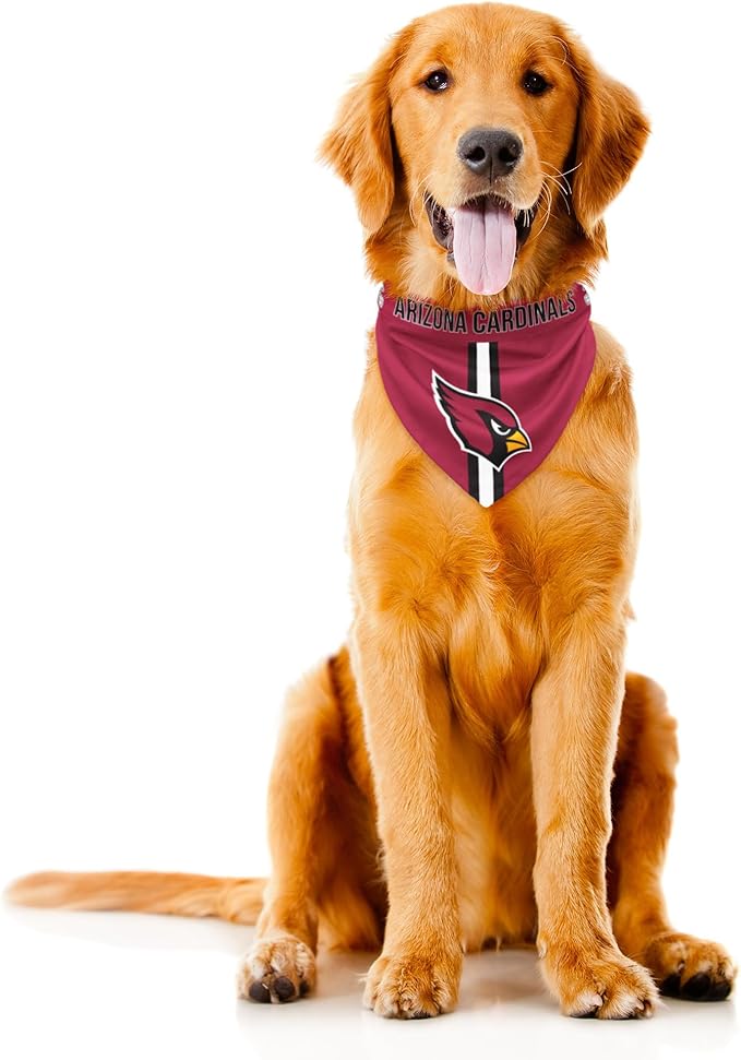 Littlearth NFL Denver Broncos Pet Bandana
