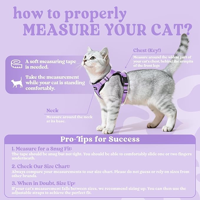 rabbitgoo Cat Harness and Leash for Walking, Escape Proof Soft Adjustable Vest Harnesses for Cats, Easy Control Breathable Reflective Strips Jacket, Light Purple, M