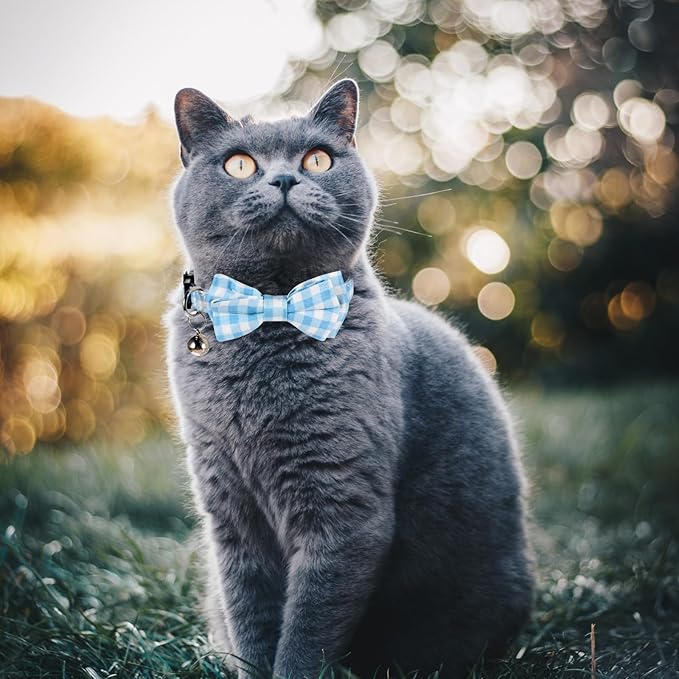 2 Pcs Boy Cat Collar with Bell Breakaway Cat Collars Cute Kitten Bow Tie Collar Adjustable Small Puppy Safety Collar Solid Color Plaid Pet Collar (Blue)