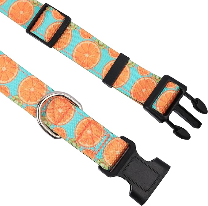 Reflective Dog Collar, Adjustable Soft Neoprene Padded Nylon Pet Collars with Buckle for Puppy and Small Dogs, Cats, Summer Lemon,S