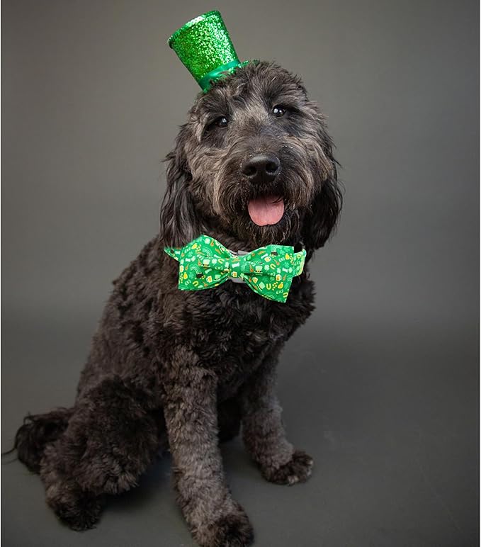 Lionheart glory Dog Bow Collar St. Patrick's Day Dog Collar for Medium Dogs, Adjustable Green Collars Lucky Clover Shamrock Dog Collar with Bowtie Pet Collar Bows