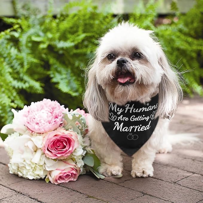 SZEE 2 Pack My Humans are Getting Married Dog Bandanas, Wedding or Engagement Gift for Couples, Dog Wedding Bandanas, Bridal Shower Gifts for Bride, Engagement Party Decorations (White & Black, S)