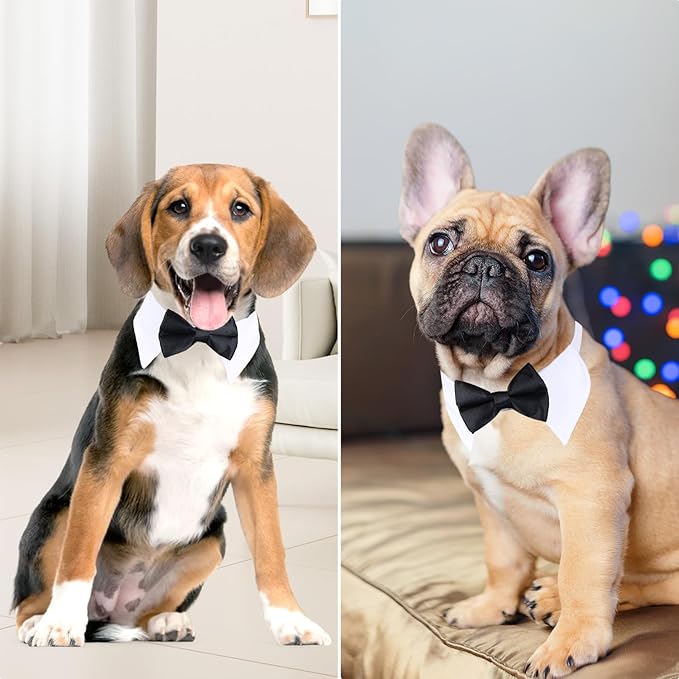 Segarty Black Bow Tie Dog Collar for Neck Girths 10.2-12.6 in, Tux Bowtie with Handcrafted Adjustable White Collar Formal Pet Cats Puppies Necktie for Wedding Birthday Party
