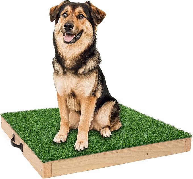 Dog Training Platform for Large Dogs, Place Boards for Dog Training, Portable Agility Training Equipment for Dogs Durable Hunting Dog Platform for Indoor or Outdoor Use