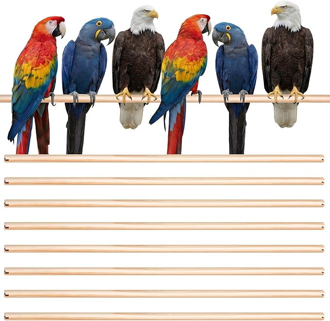 Sintuff 8 Pcs Bird Perches for Cage Accessories, Wooden Perch Rods Replacement with Double Head Slots, 0.6 Inch Diameter Natural Wood Stand for Parrot Macaw Cockatoo Parakeet(30 Inches)