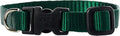 LupinePet Basics 1/2" Green 6-9" Adjustable Collar for Extra Small Dogs