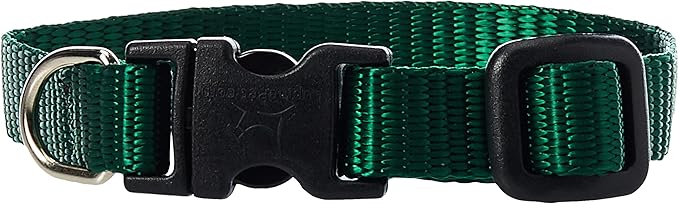 LupinePet Basics 1/2" Green 6-9" Adjustable Collar for Extra Small Dogs