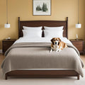 H.VERSAILTEX Plush Chenille Couch Cover for Dogs Pets Blanket for Bed Anti-Slip Soft and Durable Furniture Protector for Small Medium Large Cats Washable (52" x 82", Taupe)