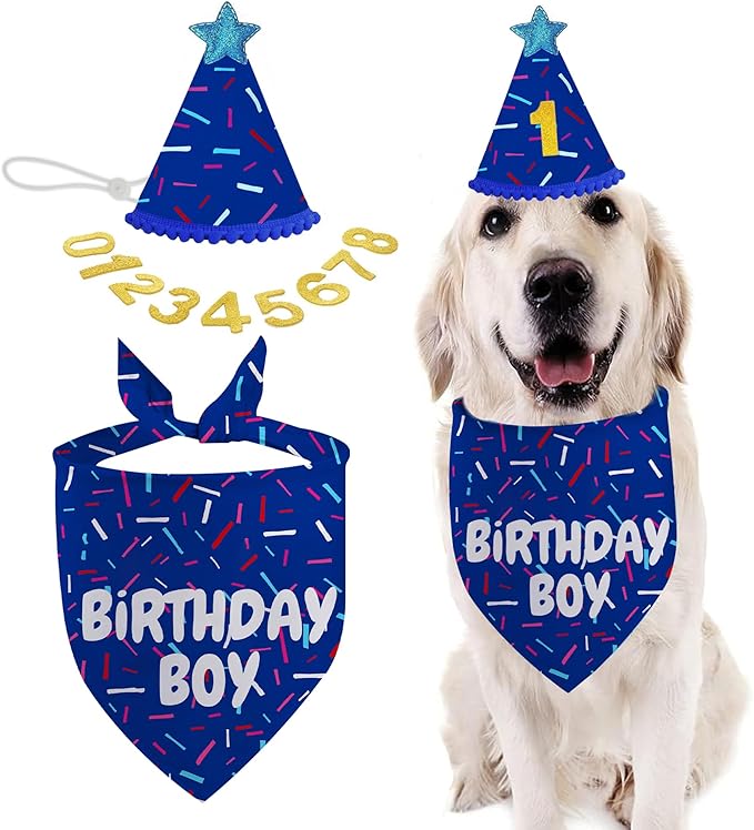 Dog Birthday Bandana Set, Blue Birthday Boy Decorations, HBD Party Supplies with Hat Kerchief Numbers for Pets (Blue)