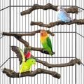 kathson 5pcs Natural Parrot Perch for Cage Wooden Bird Perches Grape Bird Stick Parakeet Climbing Standing Branches Toy Chewable Cage Accessories for Small Budgies Cockatiels Lovebirds Budgies