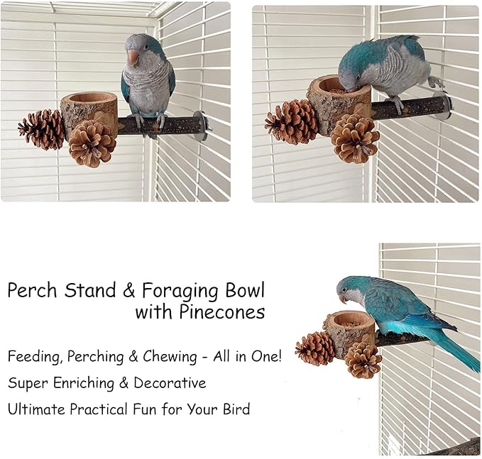 2 Pcs Bird Perch with Safe Bowl Wood & Pinecones - Bird Toys Chew Toys 100% Natural & Durable for Cockatiel, Conure, Budgie, Lovebird, Parakeet - Birdcage Accessory for Foraging & Oral Health