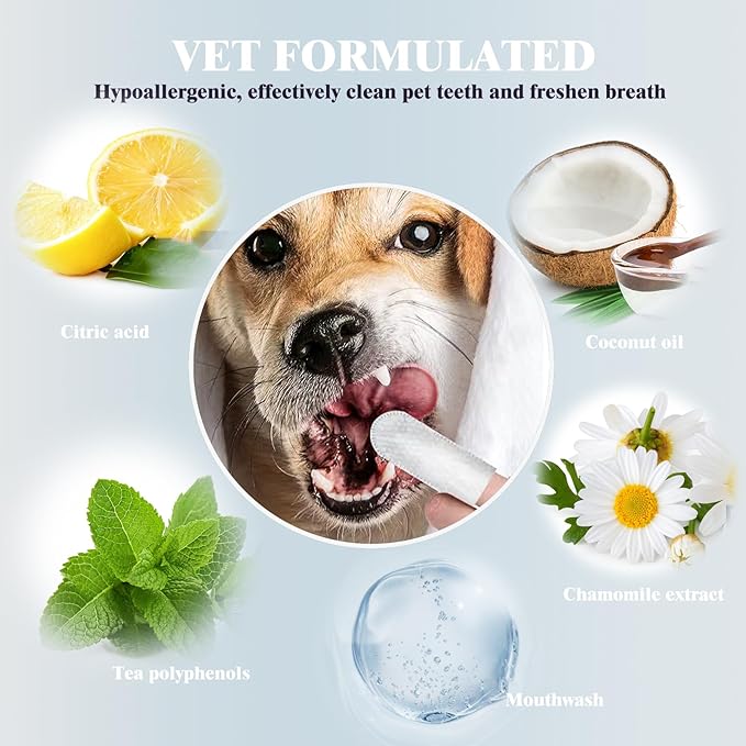 Pet Steam Brush for Dog & Cat – shower bath brush – Steam for Shedding & Grooming Water Brush for Long & Short Haired Pets Spritz Defur Comb 3-in-1 Spray Hair Removal Comb