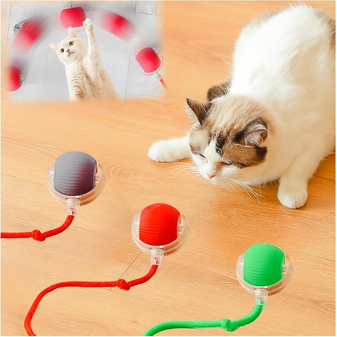 Interactive Cat Toys for Indoor Cats, Agility Move Cat Balls,Motion Activated Cat Balls, Cat Toys for Bored Indoor Cats(3 pcs Colors)