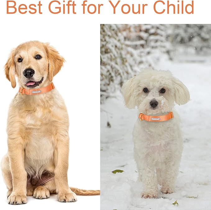 Nylon Dog Collar - Adjustable Orange Soft Webbing Dog Collars for Small Medium Large Dogs Boy Girl Puppy Collar with Safety Metal Buckle XS