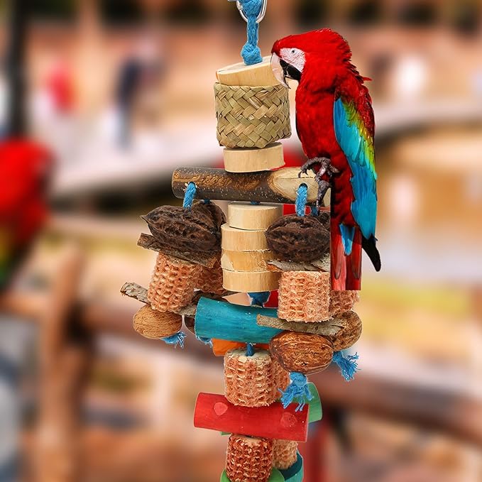 Parrot Chew Toy, Wood, Corn Cob and Nut, Non Edible Coloring, Beak Health, Foraging Toy for Macaws, Conures, Amazons