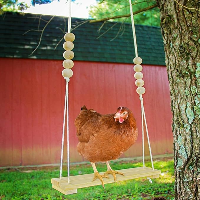 1 Pack Wooden Chicken Swing Toy, Rooster Swing for All Kinds of Birds, a Rooster Chicken, Even a Parrot