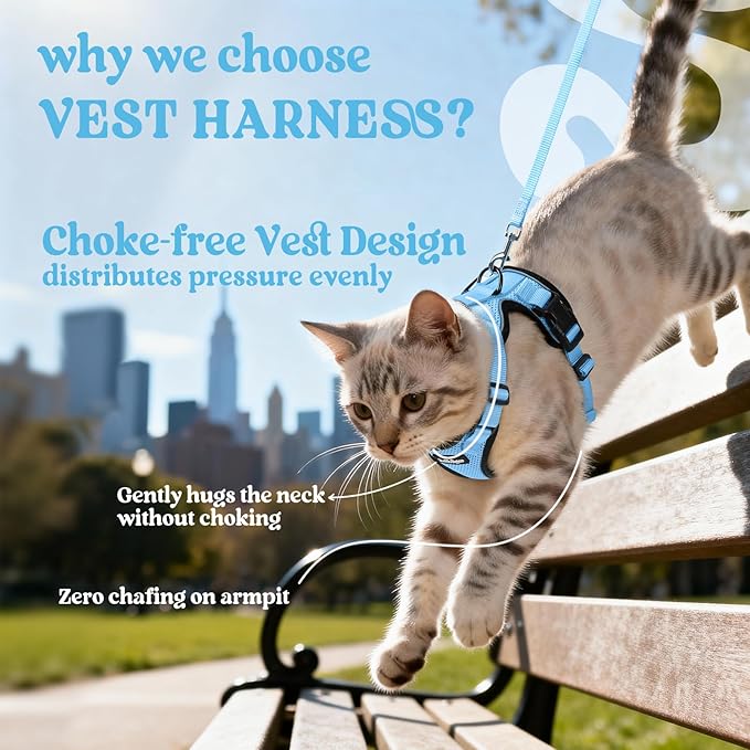 rabbitgoo Cat Harness and Leash for Walking, Escape Proof Soft Adjustable Vest Harnesses for Cats, Easy Control Breathable Reflective Strips Jacket, Light Blue, XXS
