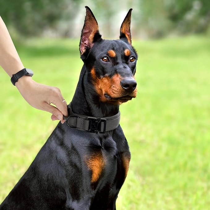 Tactical Dog Collar, Adjustable Military Training Nylon Dog Collar with Control Handle and Heavy Quick-Release Metal Buckle for Small Medium Large Dogs, Grey L