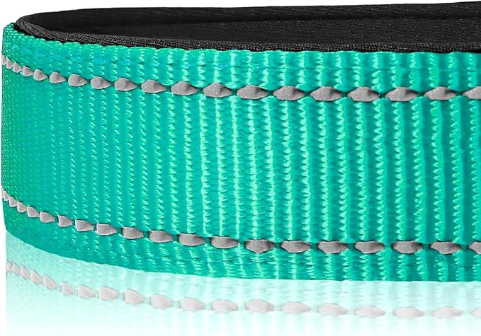 Joytale Reflective Dog Collar, Soft Neoprene Padded, Metal D-Ring, Nylon Pet Collar Adjustable for Puppy and Small Dogs, Teal, XS