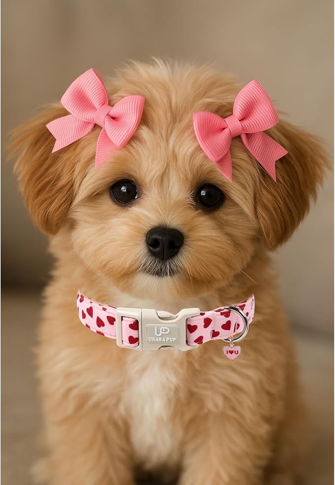 Valentine's Dog Collar, UP URARA PUP Pink Love Heart Adjustable Pet Collar with Bowknot Charm, Adorable Wedding Dog Accessories for Small Medium Large Dogs