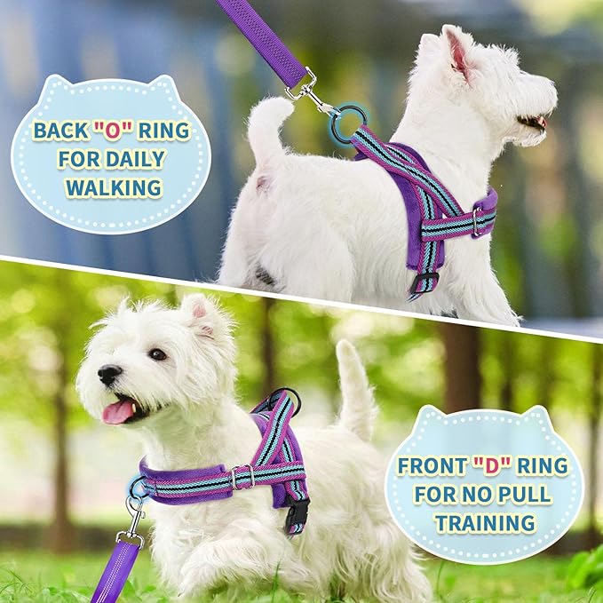 SlowTon No Pull Small Dog Harness and Leash Set, Puppy Soft Vest Harness Neck & Chest Adjustable, Reflective Lightweight Harness & Anti-Twist Pet Lead Combo for Small Medium Dogs (PU-Front Clip, XXS)
