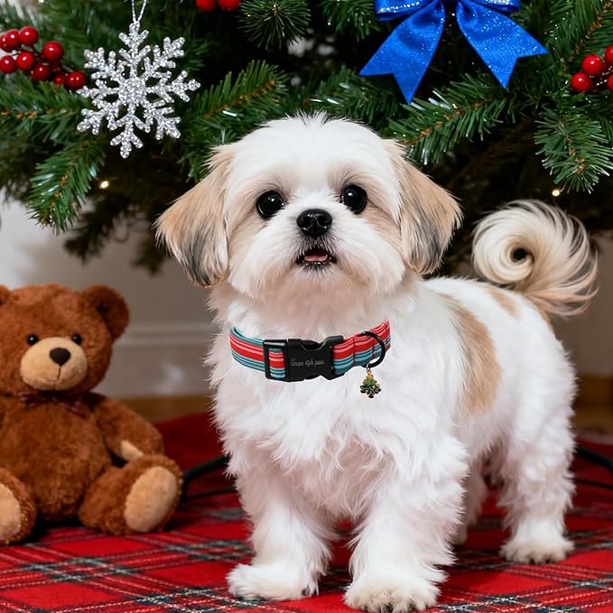 Christmas Dog Collar, Unique Style Paws Red Green Strips Dog Collar for Christmas Comfortable Red Pet Collar with Lightweight Plastic Buckle for Holiday, Fancy Dog Gift