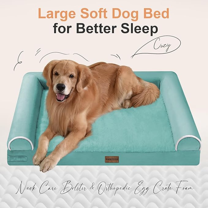 Medium Large Dog Bed Orthopedic Washable: Beds Bolster Medium Large Sized Dog Bed Egg Crate Foam Couch Sofa Waterproof with Removable Cover - Aqua Blue