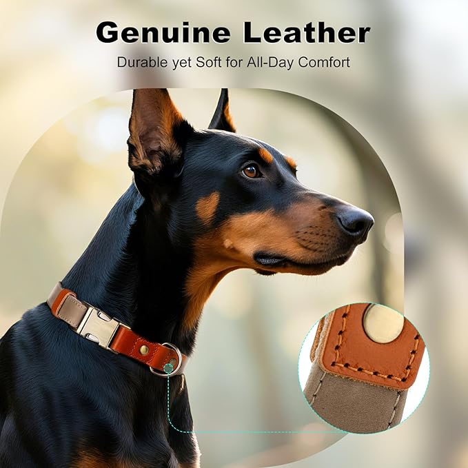 Plutus Pet Genuine Leather & Hemp Dog Collar – Adjustable Heavy Duty Pet Collar with Quick Release Metal Buckle, Soft & Stylish for Puppy and Small, Medium, Large Dogs (Ash Brown, M)