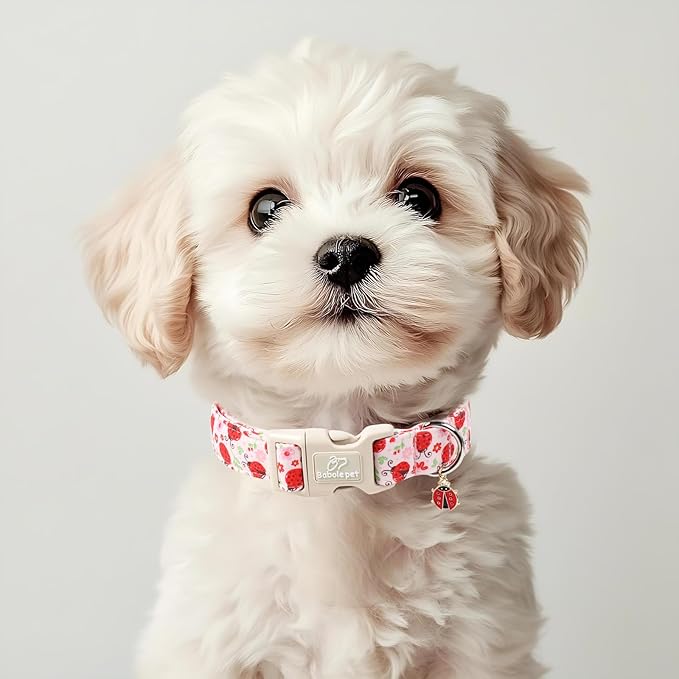 Lucky Ladybug Dog Collar for Large Dogs - Sweet Pink Girl Dog Collars, Lightweight Adjustable Spring Garden Mom Dogs Collars with Quick Release Buckle L