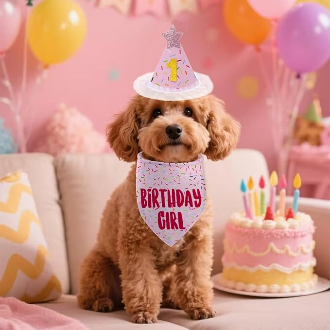 Dog Birthday Bandana Set, Light Pink Birthday Girl Decorations, HBD Party Supplies with Hat Bandana Numbers for Pets (Light Pink)