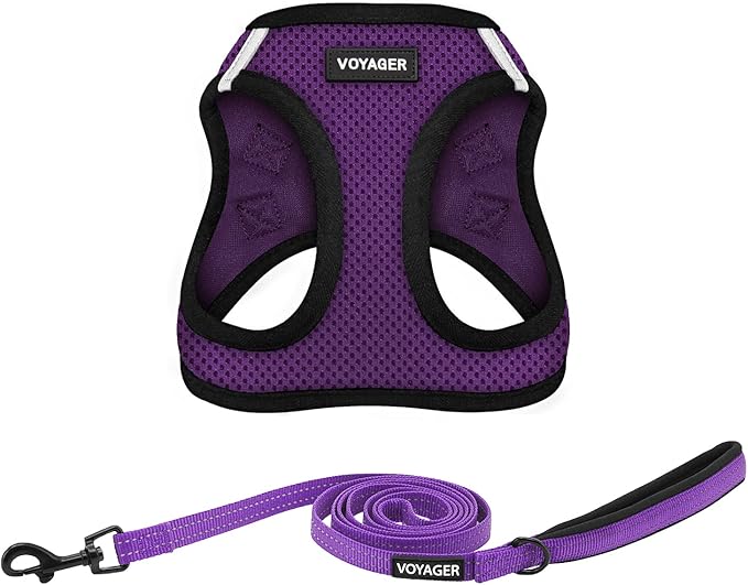 Best Pet Supplies Voyager Step-in Air All Weather Mesh Harness and Reflective Dog 5 ft Leash Combo with Neoprene Handle, for Small, Medium and Large Breed Puppies - Purple/Black Trim, Medium