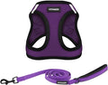 Best Pet Supplies Voyager Step-in Air All Weather Mesh Harness and Reflective Dog 5 ft Leash Combo with Neoprene Handle, for Small, Medium and Large Breed Puppies - Purple/Black Trim, Large