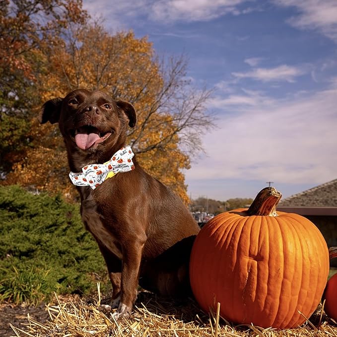 Halloween Dog Collar, Pet Collar Bow Pumpkin Pet Collar Girl Boy Holiday Collars Gift Bow Cute Soft Puppy Collars for Large Dogs