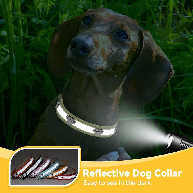 PETCARE Reflective Dog Collar with Cute Paw Rivet Studded Funny Soft PU Leather Adjustable Puppy Dog Collars for Small Medium Large Dogs Cats (Yellow,Medium)