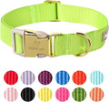Nylon Dog Collar - Adjustable Fluorescent Green Soft Webbing Dog Collars for Small Medium Large Dogs Boy Girl Puppy Collar with Safety Metal Buckle L