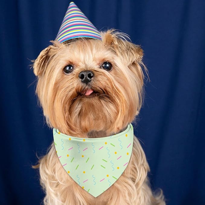 Birthday Dog Bandanas, Double Side All 4 Patterns Reversible Large Pet Bandanas 2 Pack, Celebration Set, Plaid Adjustable Triangle Holiday Pink Green Scarves for Dogs Girl Boy Pets