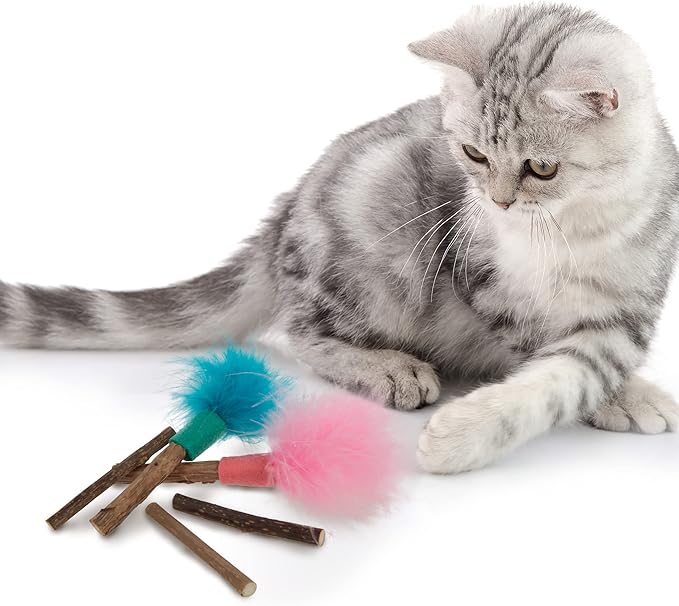 SmartyKat (5 Count) Silly Silver Stix Natural Silvervine Cat Toys - Blue/Pink, One Size