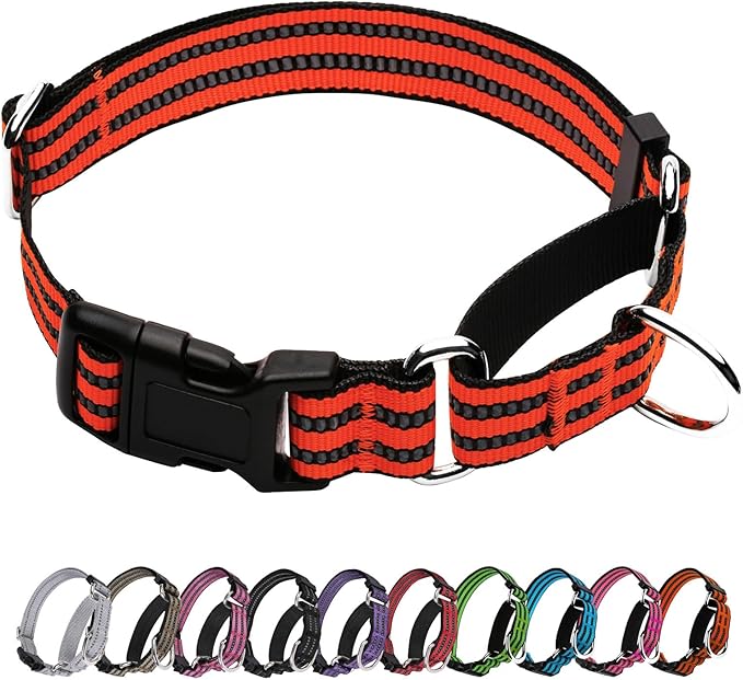 Martingale Dog Collar, Adjustable Nylon Reflective Collar with Quick Release Buckle (Bright Orange, Small)