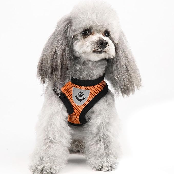 shudyear Summer cat Chest Harness and Leash, Anti-Escape Adjustable Soft mesh cat Leash and Chest Harness Set for All Types of Cats cat Vests (Size S, Orange)