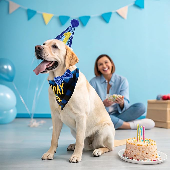 EXPAWLORER Dog Birthday Party Supplies - Dog Birthday Bandana Scarf and Party Hat with Numbers Boy Girl Pet Bow Tie, Cute Outfit for Small Medium Large Dogs (Large)