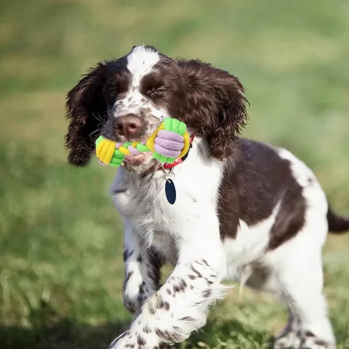 Candy Colored Rope Woven Toy, Durable Dumbbell Design Pet Teeth Grinding Mouth Toy, Funny Interactive Molar Training Toy for Dogs, Puppy Teething Relief and Dental Care (Candy Colored)