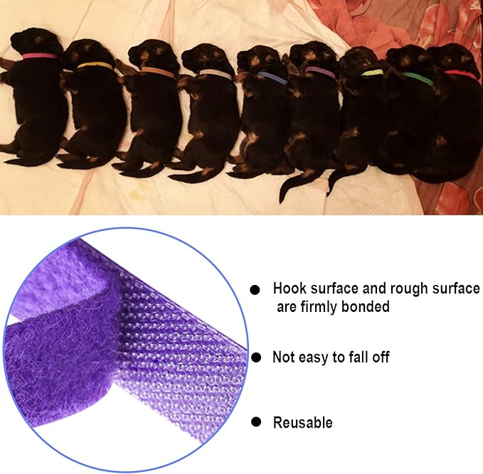 15 Pcs Puppy Whelping Collars Newborn Pet Collars Double-Sided Soft Adjustable ID Bands Puppy Id Collars for Newborn Pet Dog Cat 15 Colors