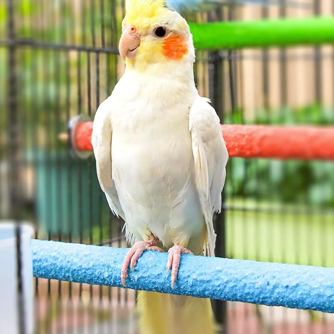 Hamiledyi 4 PCS Parrot Perch Stand Toy 7.9x0.8inch Bird Cage Perch Natural Paw Grinding Stick for Medium Parrots Parakeets Cockatiels Lovebirds Chewing Stick (M)